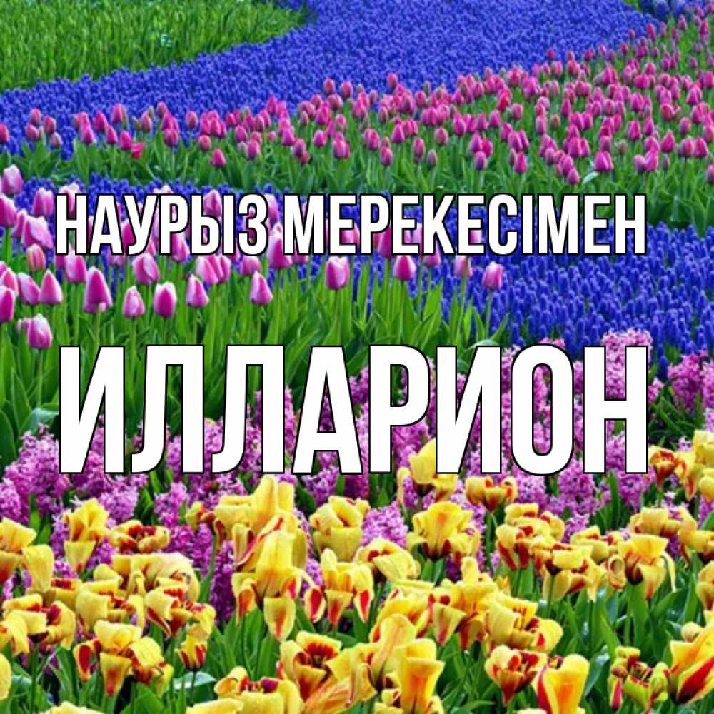 Күн сайын ашық хат с именем, Илларион Наурыз мерекесімен цветы Онлайн тегін жүктеп алу тілектері бар керемет карта 