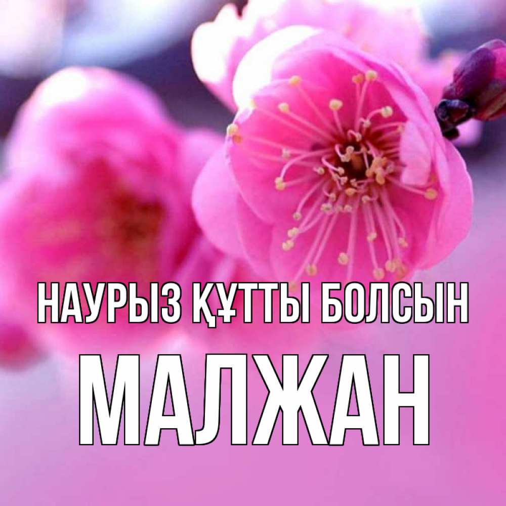 Күн сайын ашық хат с именем, МАЛЖАН Наурыз құтты болсын наурыз мейрам Онлайн тегін жүктеп алу тілектері бар керемет карта 