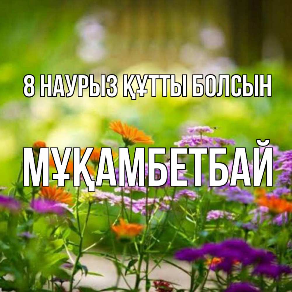 Күн сайын ашық хат с именем, Мұқамбетбай 8 наурыз құтты болсын цветы Онлайн тегін жүктеп алу тілектері бар керемет карта 