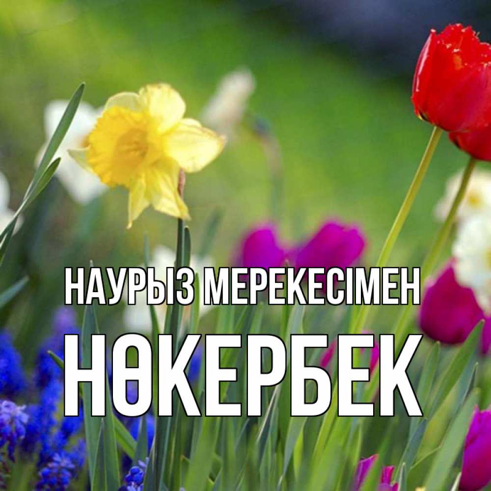 Күн сайын ашық хат с именем, НӨКЕРБЕК Наурыз мерекесімен праздник весны наурыз 3 Онлайн тегін жүктеп алу тілектері бар керемет карта 