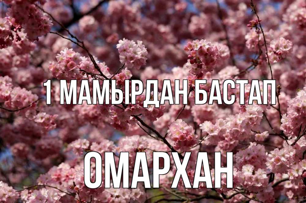 Күн сайын ашық хат с именем, ОМАРХАН 1 мамырдан бастап С 1 мая Онлайн тегін жүктеп алу тілектері бар керемет карта 