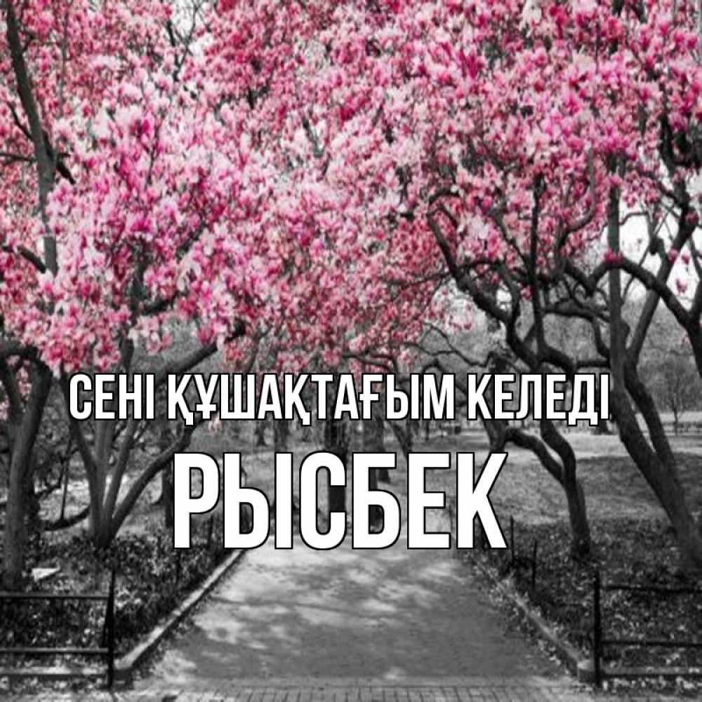 Күн сайын ашық хат с именем, РЫСБЕК сені құшақтағым келеді обработанное фото Онлайн тегін жүктеп алу тілектері бар керемет карта 