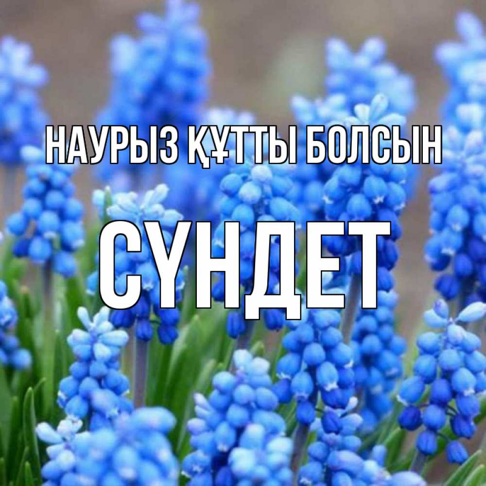 Күн сайын ашық хат с именем, СҮНДЕТ Наурыз құтты болсын Поздравительная открытка для женщин с цветами на праздничную дату Онлайн тегін жүктеп алу тілектері бар керемет карта 