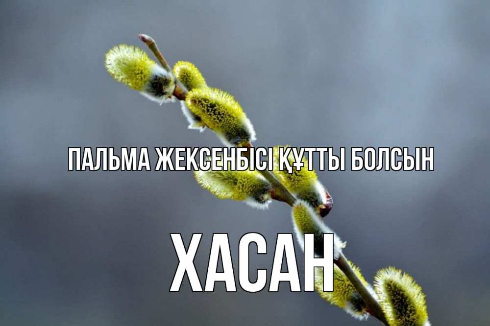 Күн сайын ашық хат с именем, ХАСАН Пальма жексенбісі құтты болсын верба Онлайн тегін жүктеп алу тілектері бар керемет карта 
