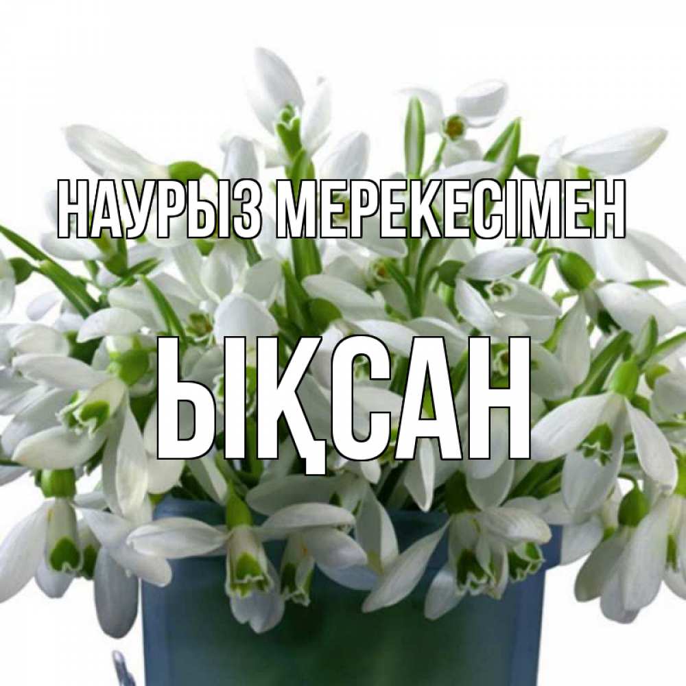 Күн сайын ашық хат с именем, ЫҚСАН Наурыз мерекесімен цветы к наурызу новый год в Казахстане Онлайн тегін жүктеп алу тілектері бар керемет карта 
