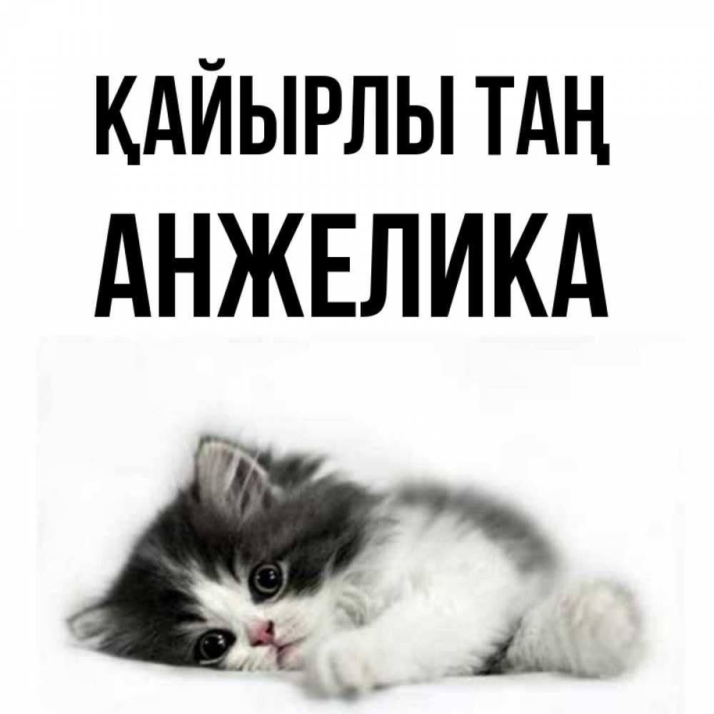 Күн сайын ашық хат с именем, Анжелика Қайырлы таң кот лапки Онлайн тегін жүктеп алу тілектері бар керемет карта 