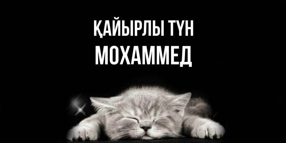 Күн сайын ашық хат с именем, Мохаммед Қайырлы түн спящий котик Онлайн тегін жүктеп алу тілектері бар керемет карта 