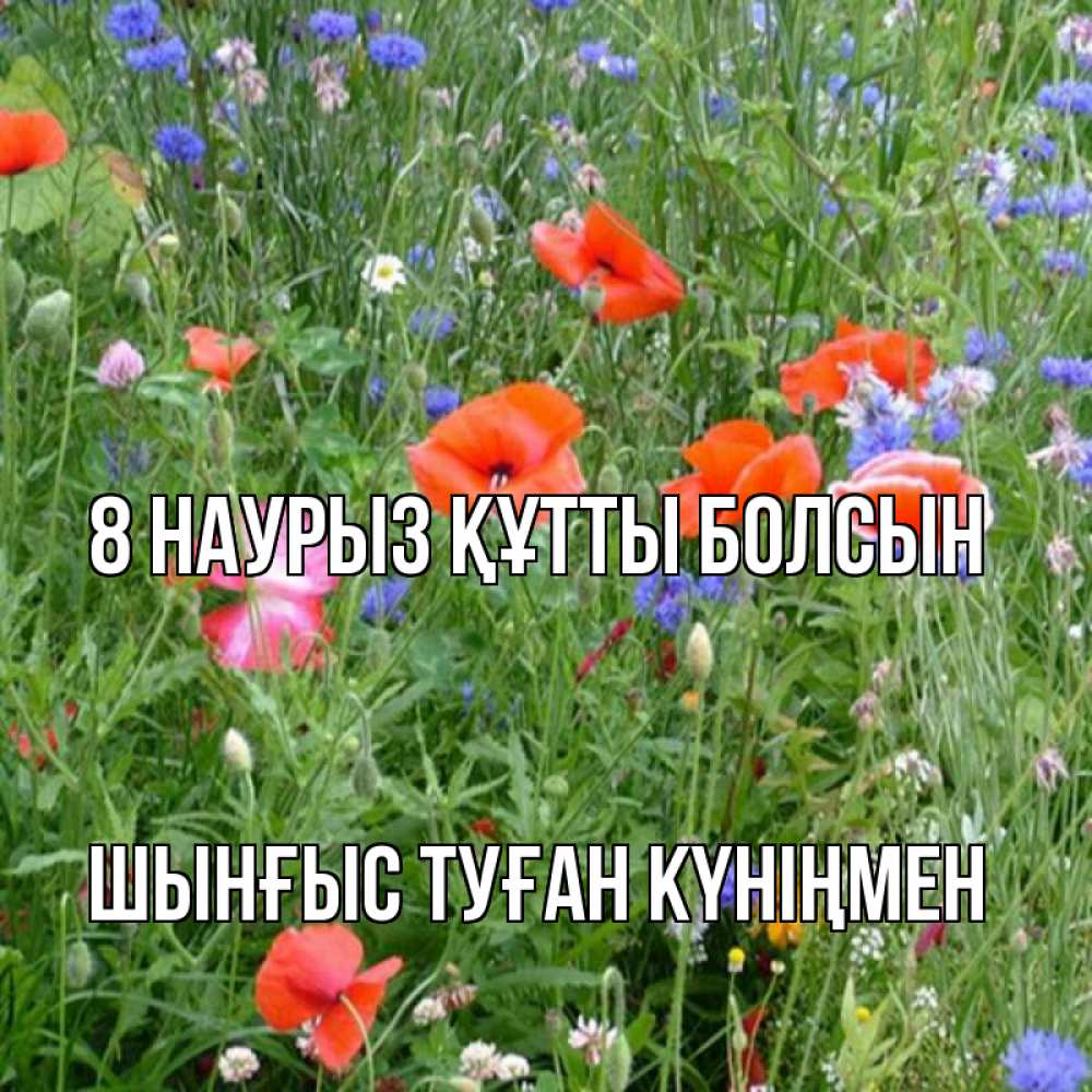 Картинка 8 наурыз құтты болсын, ШЫНҒЫС! ТУҒАН КҮНІҢМЕН!