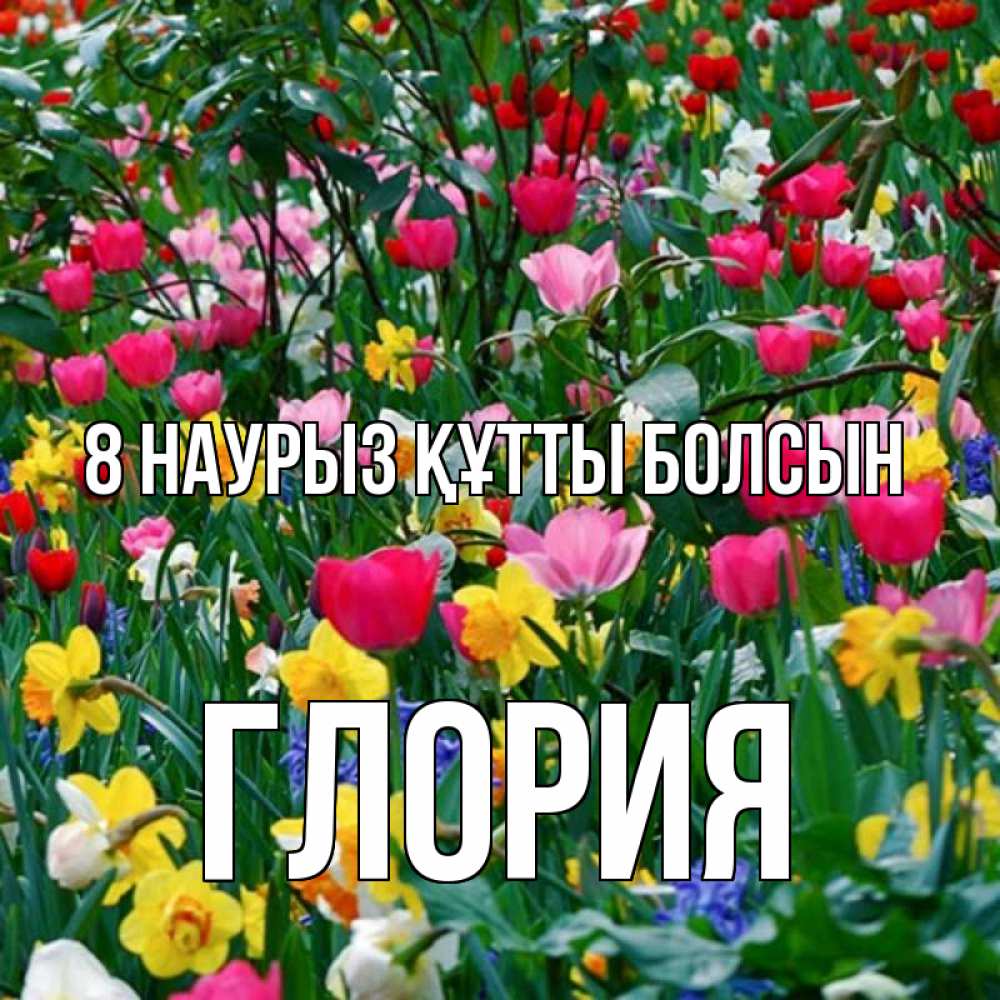 Күн сайын ашық хат с именем, Глория 8 наурыз құтты болсын с международным женским днем поздравления для женщины Онлайн тегін жүктеп алу тілектері бар керемет карта 