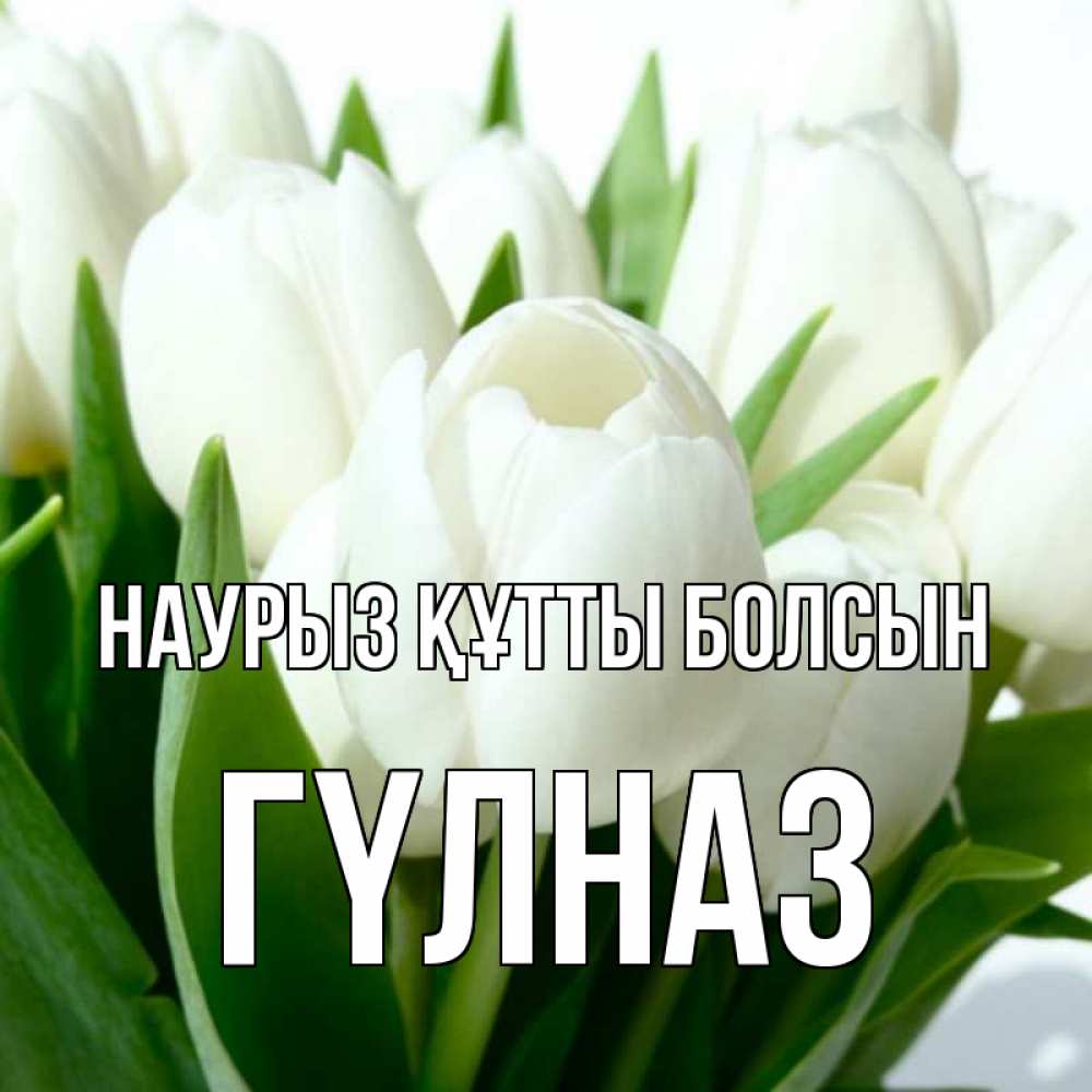 Күн сайын ашық хат с именем, ГҮЛНАЗ Наурыз құтты болсын цветы Онлайн тегін жүктеп алу тілектері бар керемет карта 