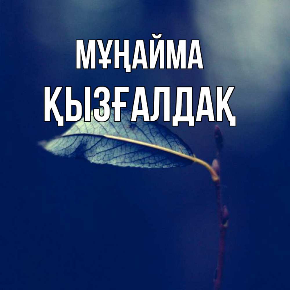 Күн сайын ашық хат с именем, ҚЫЗҒАЛДАҚ Мұңайма растение Онлайн тегін жүктеп алу тілектері бар керемет карта 