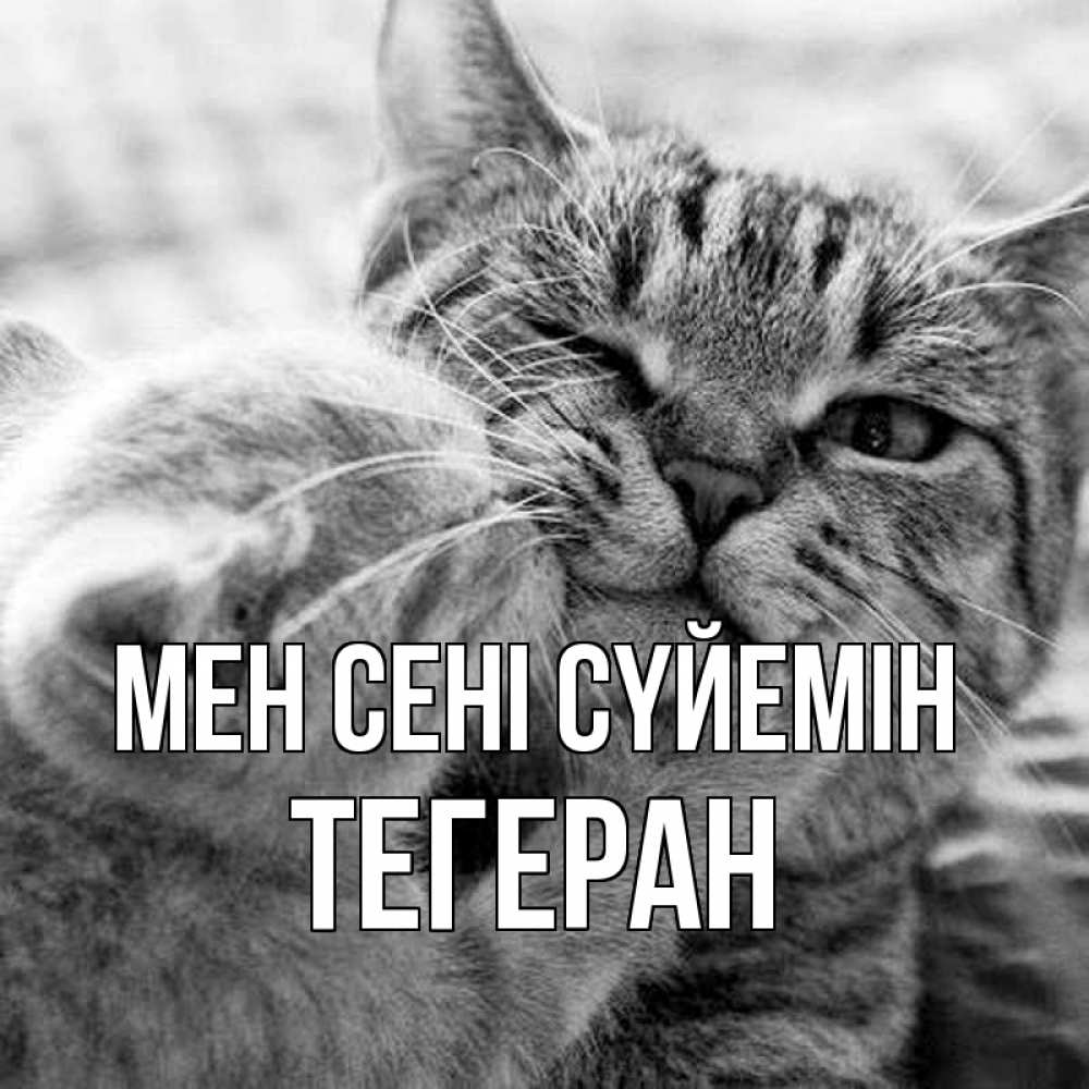 Күн сайын ашық хат с именем, ТЕГЕРАН Мен сені сүйемін коты Онлайн тегін жүктеп алу тілектері бар керемет карта 
