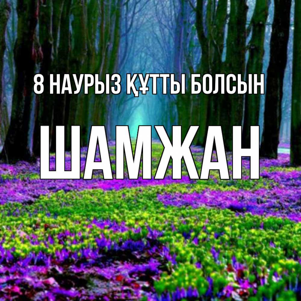 Күн сайын ашық хат с именем, ШАМЖАН 8 наурыз құтты болсын фиолетовые цветы в лесу 1 Онлайн тегін жүктеп алу тілектері бар керемет карта 