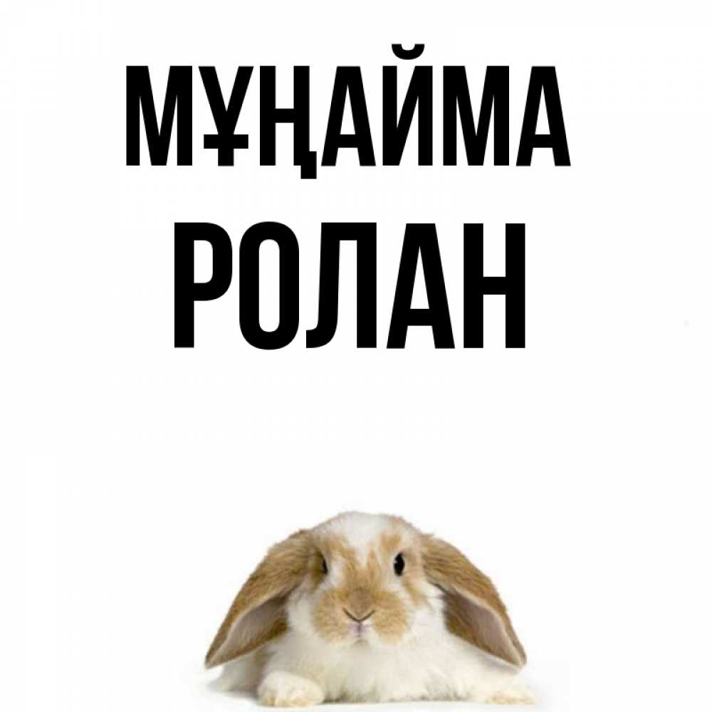 Күн сайын ашық хат с именем, Ролан Мұңайма коричнево белый заяц с большими ушками Онлайн тегін жүктеп алу тілектері бар керемет карта 