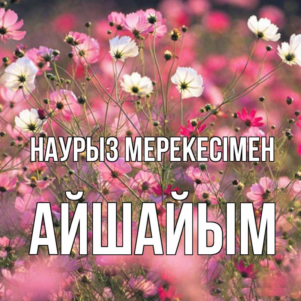 Күн сайын ашық хат с именем, АЙШАЙЫМ Наурыз мерекесімен красиво 1 Онлайн тегін жүктеп алу тілектері бар керемет карта 
