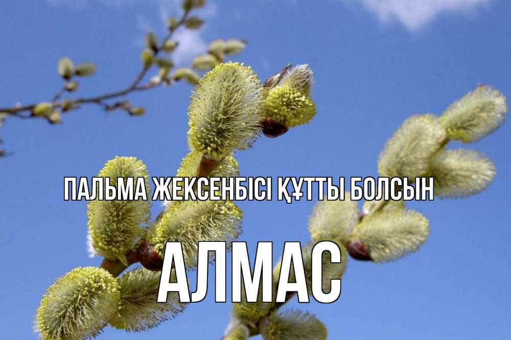Күн сайын ашық хат с именем, Алмас Пальма жексенбісі құтты болсын верба Онлайн тегін жүктеп алу тілектері бар керемет карта 