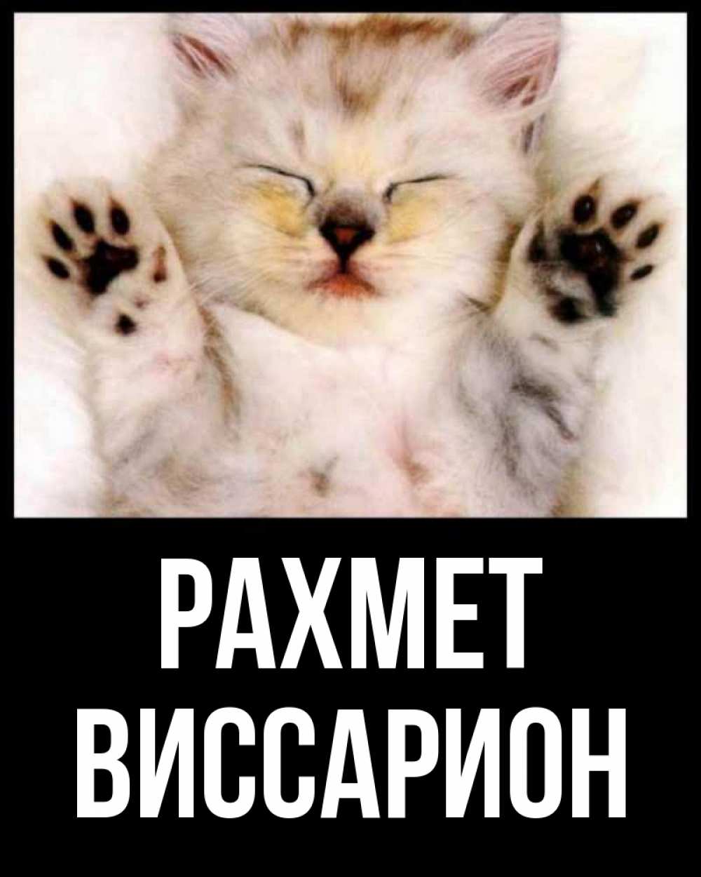 Күн сайын ашық хат с именем, Виссарион рахмет маленький котенок Онлайн тегін жүктеп алу тілектері бар керемет карта 