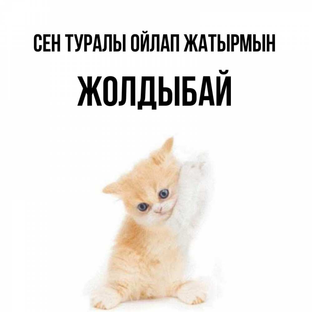 Күн сайын ашық хат с именем, Жолдыбай Сен туралы ойлап жатырмын зверушки и милота Онлайн тегін жүктеп алу тілектері бар керемет карта 