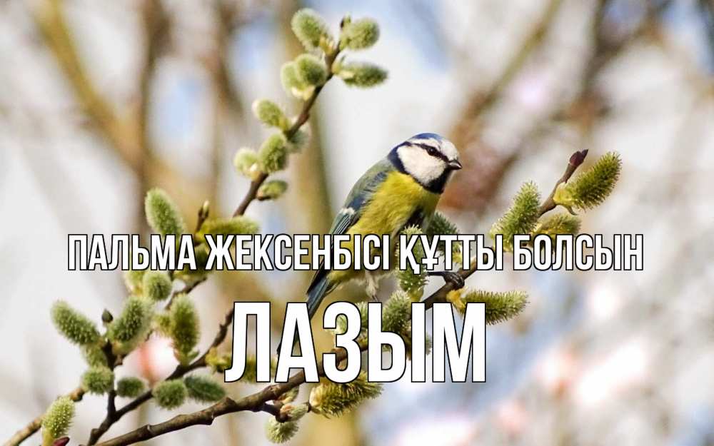 Күн сайын ашық хат с именем, ЛАЗЫМ Пальма жексенбісі құтты болсын верба Онлайн тегін жүктеп алу тілектері бар керемет карта 