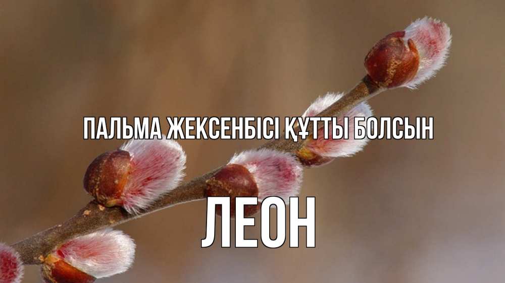 Картинка Пальма жексенбісі құтты болсын, Леон