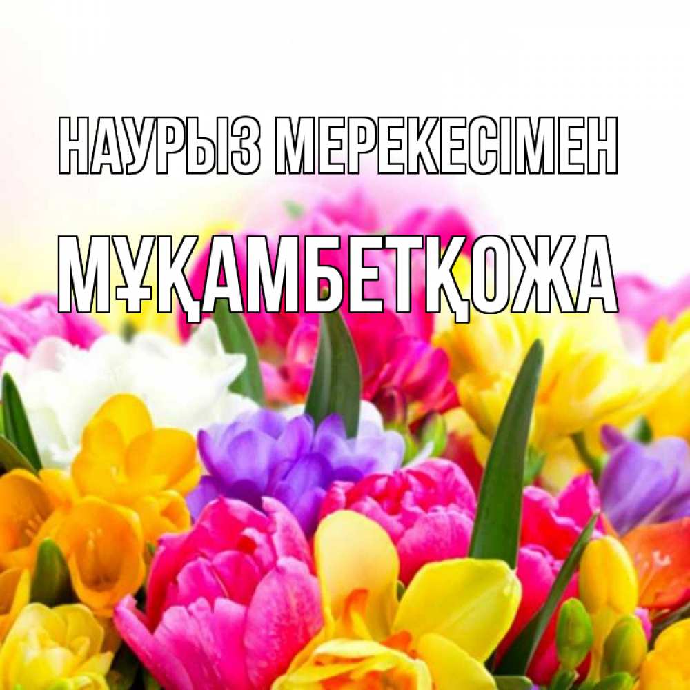 Күн сайын ашық хат с именем, Мұқамбетқожа Наурыз мерекесімен тюльпаны Онлайн тегін жүктеп алу тілектері бар керемет карта 