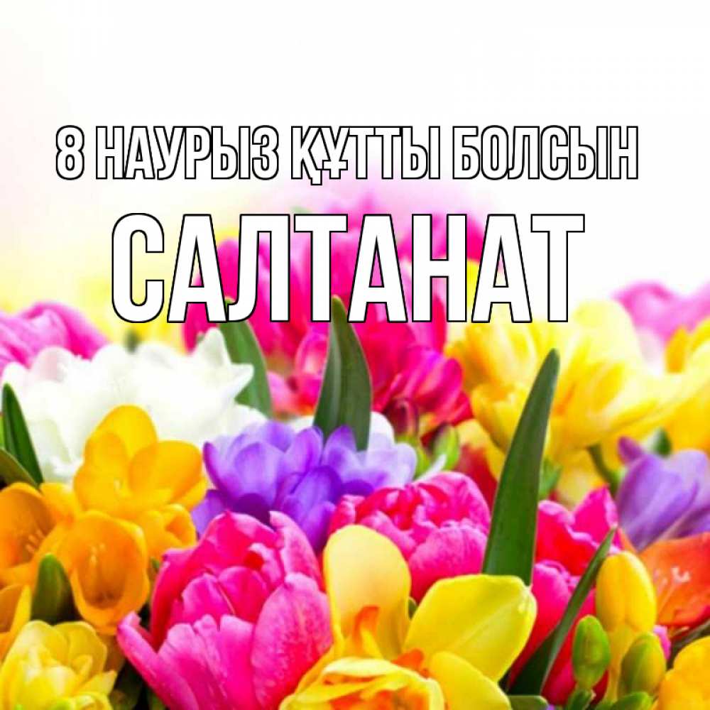 Күн сайын ашық хат с именем, САЛТАНАТ 8 наурыз құтты болсын тюльпаны Онлайн тегін жүктеп алу тілектері бар керемет карта 