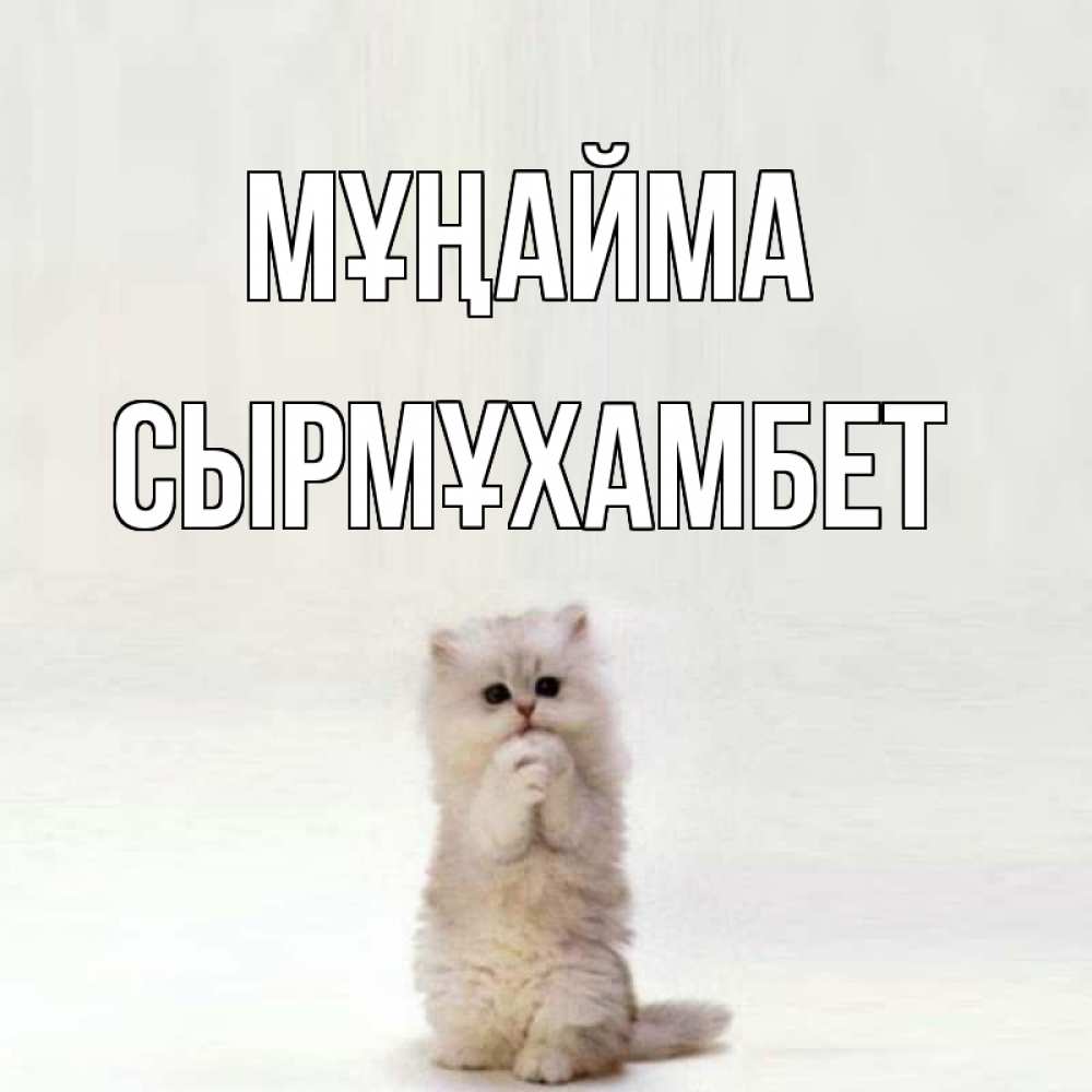 Күн сайын ашық хат с именем, СЫРМҰХАМБЕТ Мұңайма грустный кот Онлайн тегін жүктеп алу тілектері бар керемет карта 