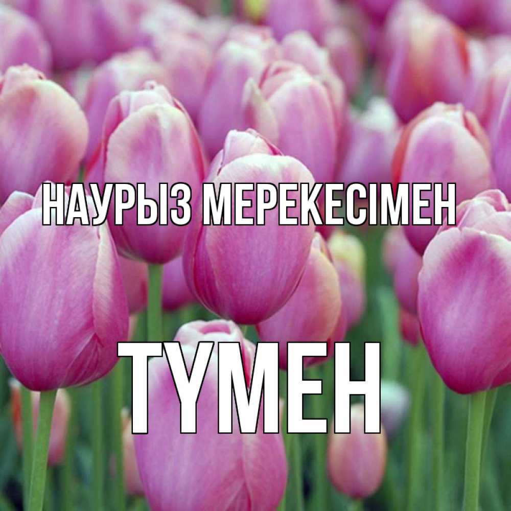 Күн сайын ашық хат с именем, ТҮМЕН Наурыз мерекесімен праздник весны наурыз 69 Онлайн тегін жүктеп алу тілектері бар керемет карта 