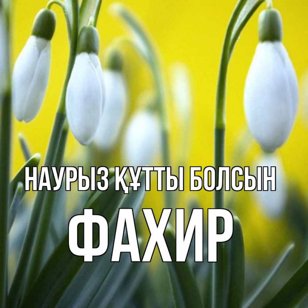 Күн сайын ашық хат с именем, ФАХИР Наурыз құтты болсын весенние цветы Онлайн тегін жүктеп алу тілектері бар керемет карта 