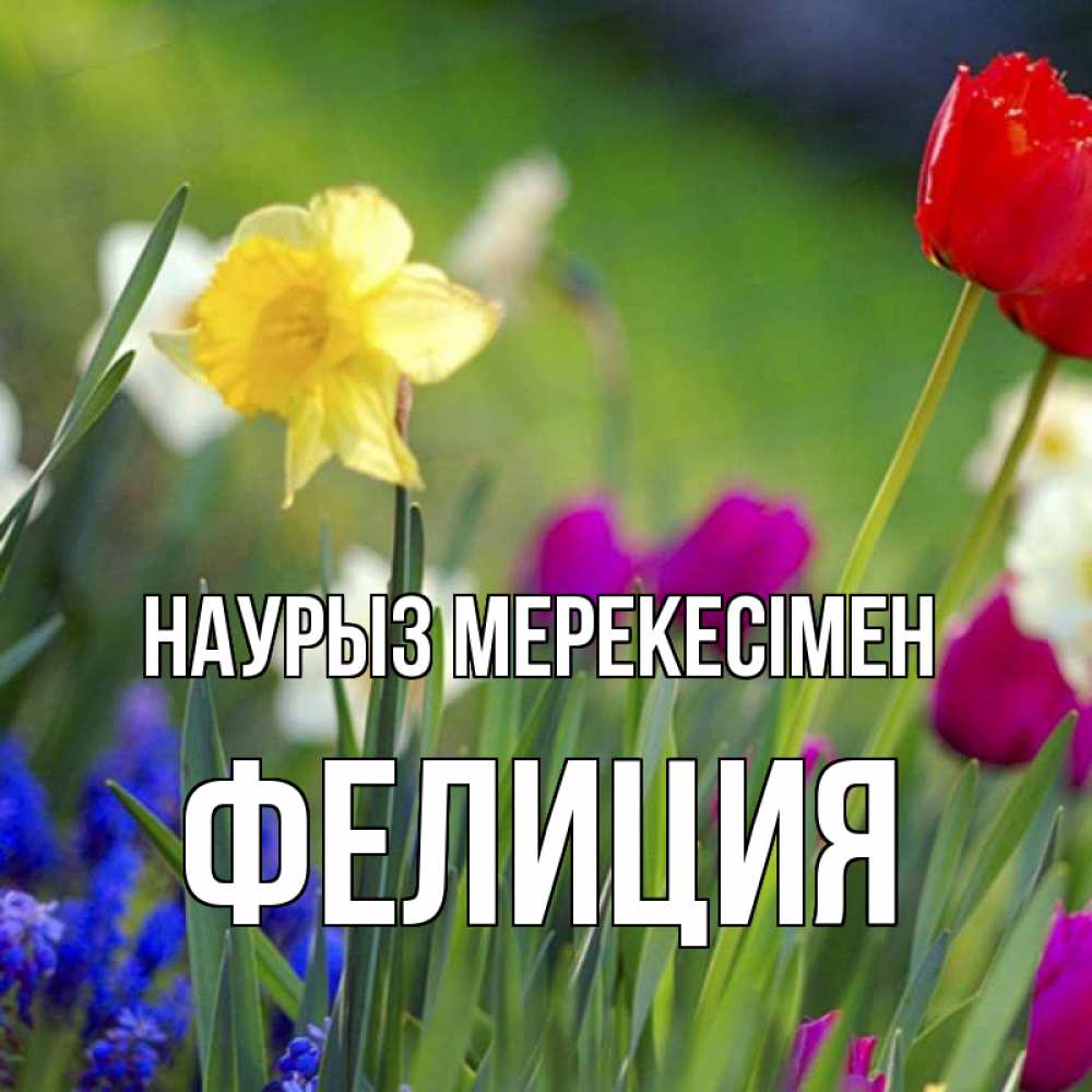 Күн сайын ашық хат с именем, Фелиция Наурыз мерекесімен праздник весны наурыз 3 Онлайн тегін жүктеп алу тілектері бар керемет карта 