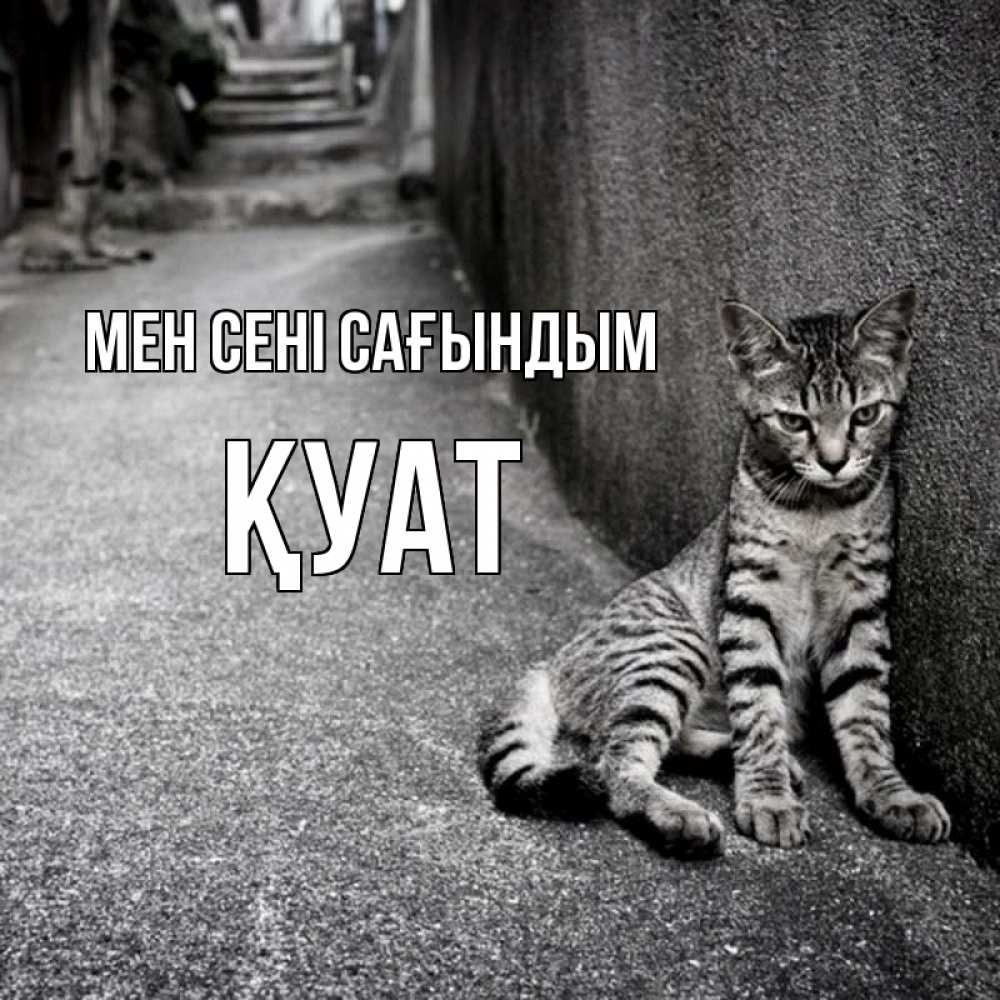 Күн сайын ашық хат с именем, ҚУАТ Мен сені сағындым одиноко котику Онлайн тегін жүктеп алу тілектері бар керемет карта 