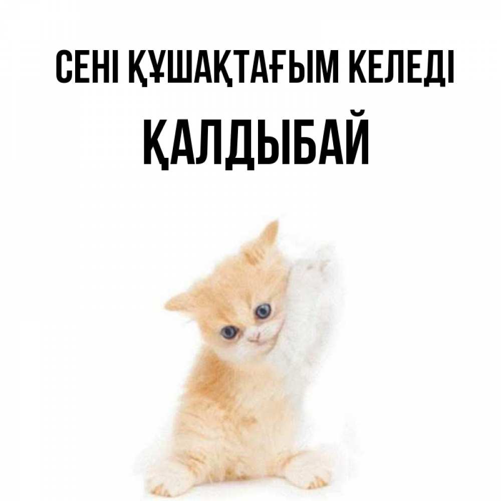 Күн сайын ашық хат с именем, Қалдыбай сені құшақтағым келеді я хочу очень скорее обнимаешек Онлайн тегін жүктеп алу тілектері бар керемет карта 