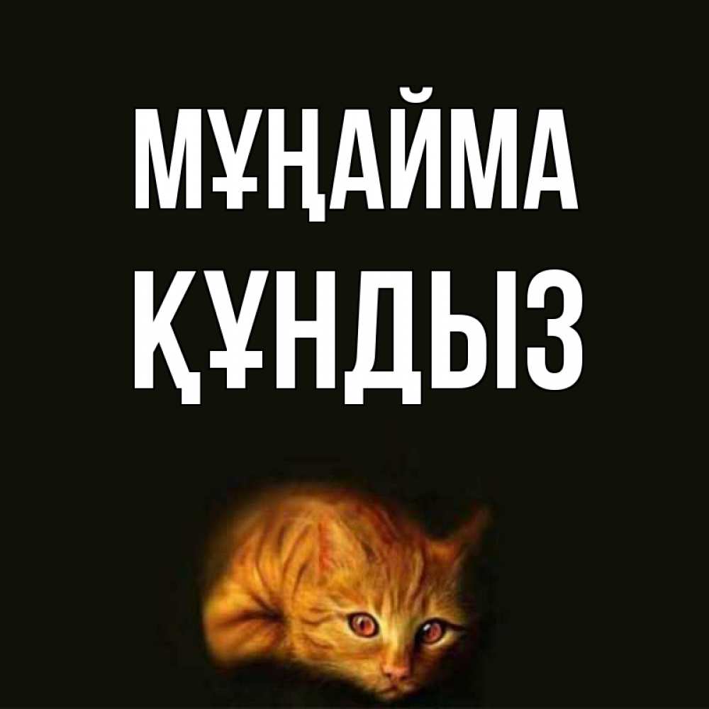 Күн сайын ашық хат с именем, ҚҰНДЫЗ Мұңайма лежащий кот в темноте Онлайн тегін жүктеп алу тілектері бар керемет карта 