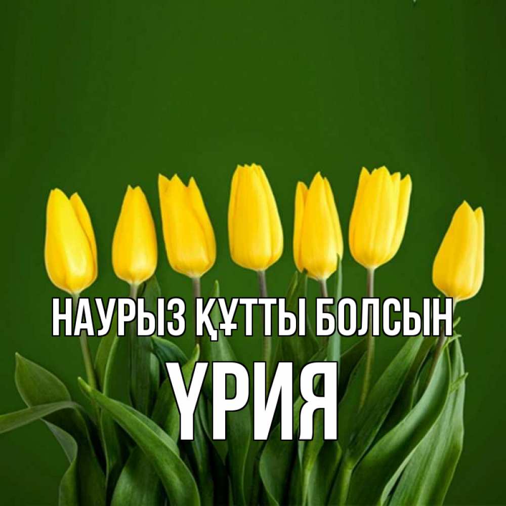 Күн сайын ашық хат с именем, ҮРИЯ Наурыз құтты болсын желтого цвета 3 Онлайн тегін жүктеп алу тілектері бар керемет карта 