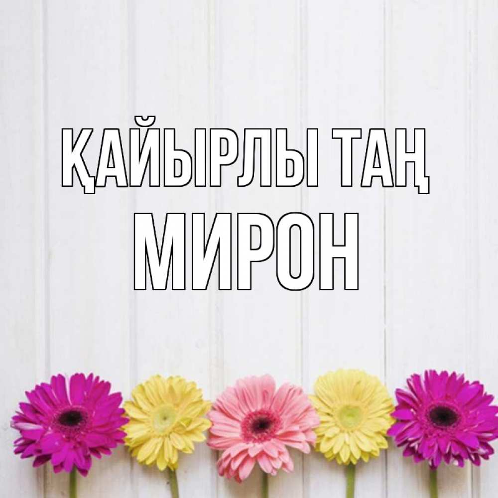 Күн сайын ашық хат с именем, МИРОН Қайырлы таң красный желтый и розовый цветок Онлайн тегін жүктеп алу тілектері бар керемет карта 