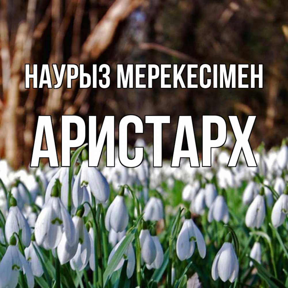 Күн сайын ашық хат с именем, Аристарх Наурыз мерекесімен с подснежниками 1 Онлайн тегін жүктеп алу тілектері бар керемет карта 