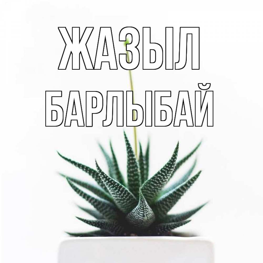 Күн сайын ашық хат с именем, Барлыбай Жазыл короче это непонятная колючка Онлайн тегін жүктеп алу тілектері бар керемет карта 