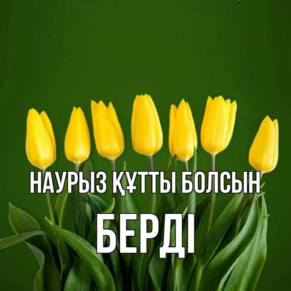 Күн сайын ашық хат с именем, Берді Наурыз құтты болсын желтого цвета 3 Онлайн тегін жүктеп алу тілектері бар керемет карта 