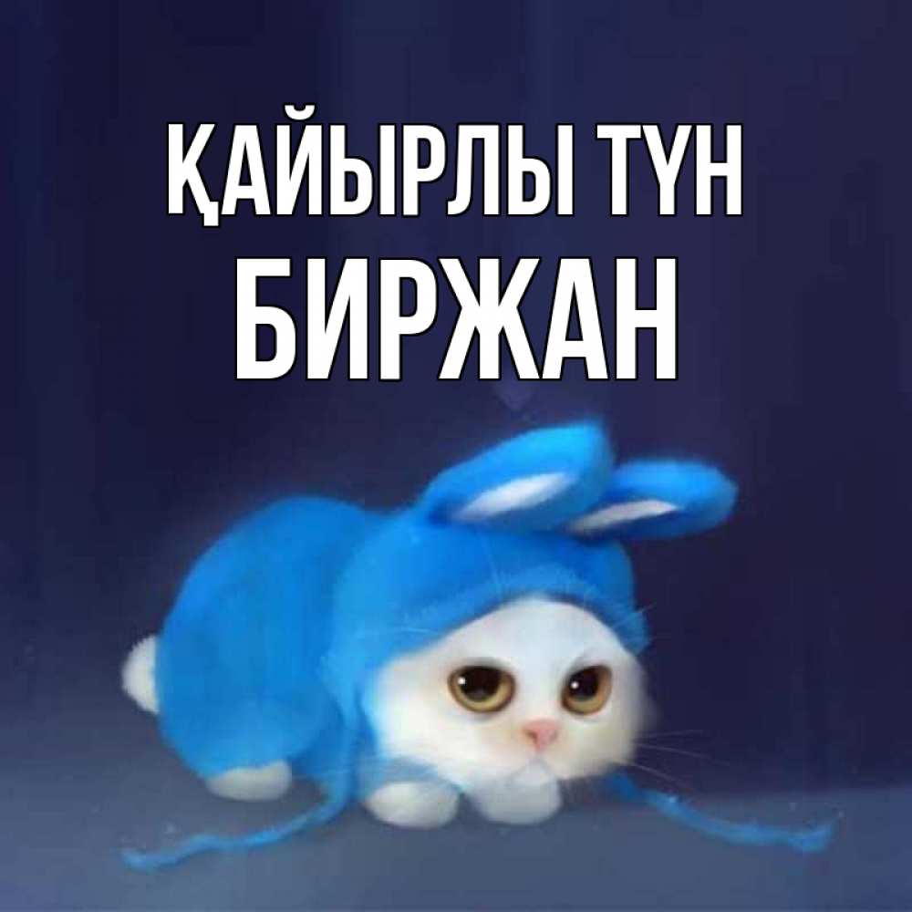Күн сайын ашық хат с именем, Биржан Қайырлы түн кот в голубом костюме кролика с ушками Онлайн тегін жүктеп алу тілектері бар керемет карта 
