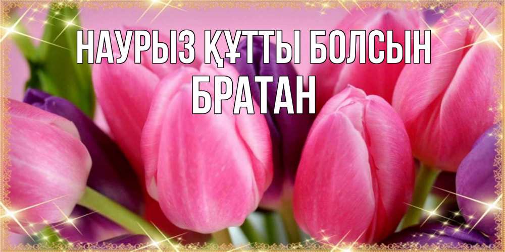 Күн сайын ашық хат с именем, Братан Наурыз құтты болсын тюльпаны для женщины на международный женский день Онлайн тегін жүктеп алу тілектері бар керемет карта 
