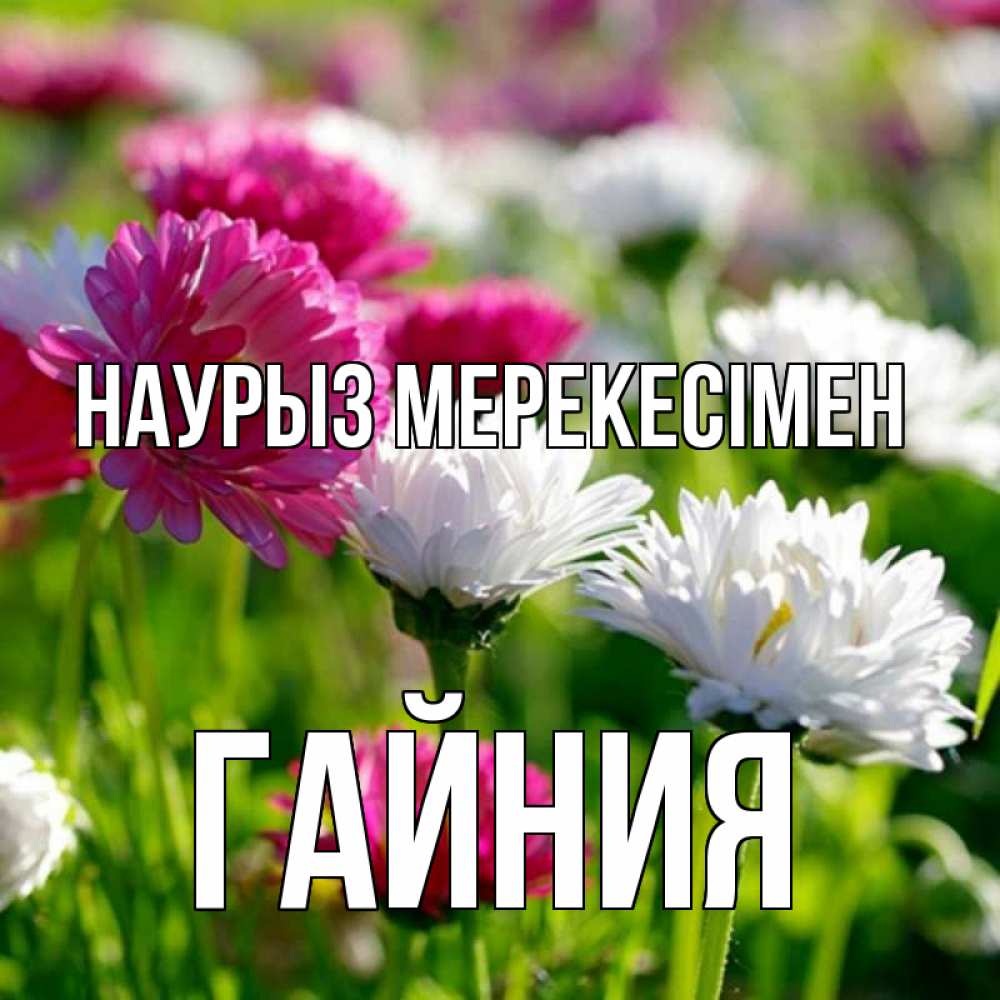 Күн сайын ашық хат с именем, ГАЙНИЯ Наурыз мерекесімен праздник весны наурыз красота Онлайн тегін жүктеп алу тілектері бар керемет карта 