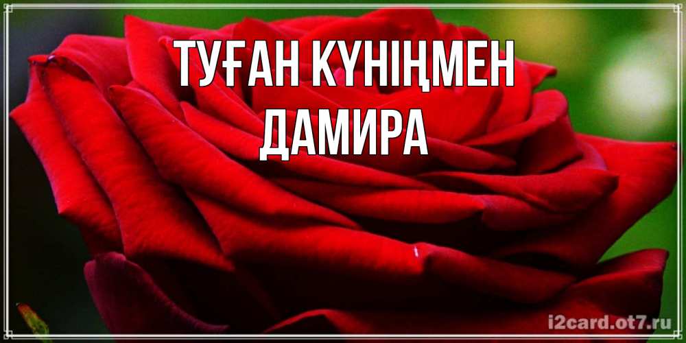 Күн сайын ашық хат с именем, ДАМИРА Туған күніңмен розочка очень красивая Онлайн тегін жүктеп алу тілектері бар керемет карта 