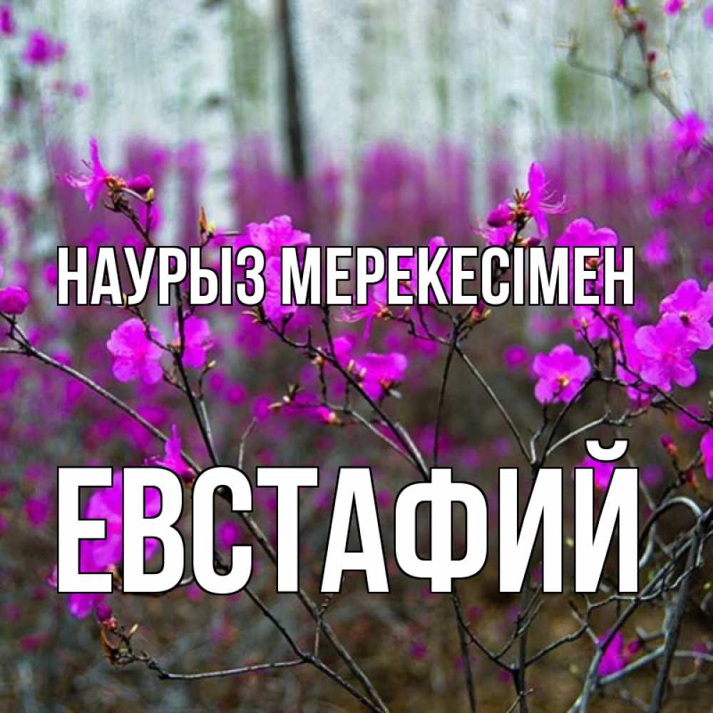 Күн сайын ашық хат с именем, Евстафий Наурыз мерекесімен дикие цветы Онлайн тегін жүктеп алу тілектері бар керемет карта 