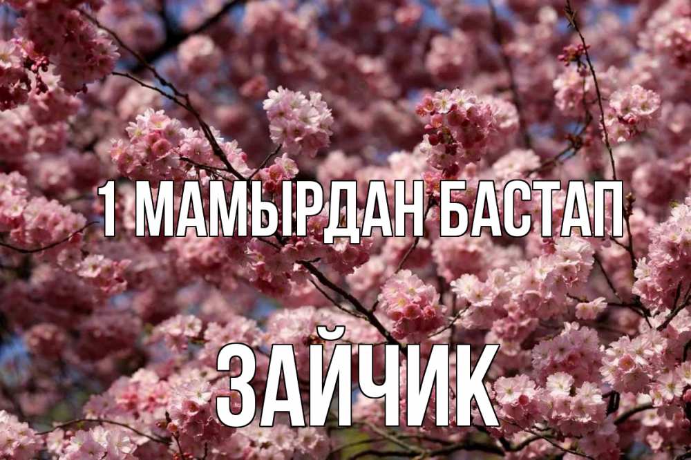 Күн сайын ашық хат с именем, Зайчик 1 мамырдан бастап С 1 мая Онлайн тегін жүктеп алу тілектері бар керемет карта 