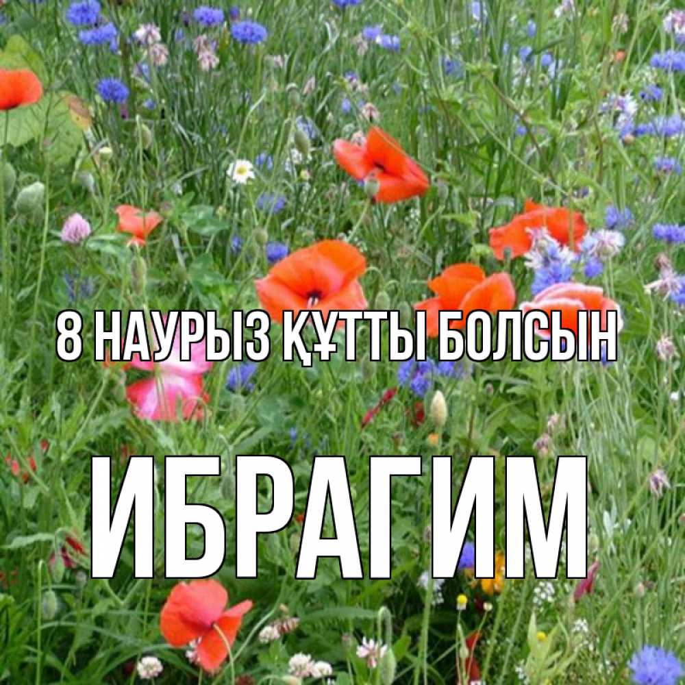 Күн сайын ашық хат с именем, Ибрагим 8 наурыз құтты болсын международный женский день 4 Онлайн тегін жүктеп алу тілектері бар керемет карта 