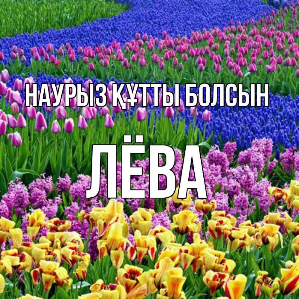 Күн сайын ашық хат с именем, Лёва Наурыз құтты болсын цветы Онлайн тегін жүктеп алу тілектері бар керемет карта 