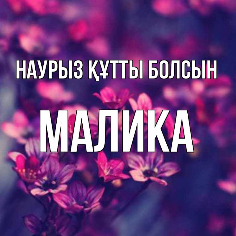 Күн сайын ашық хат с именем, Малика Наурыз құтты болсын небольшие цветы 1 Онлайн тегін жүктеп алу тілектері бар керемет карта 