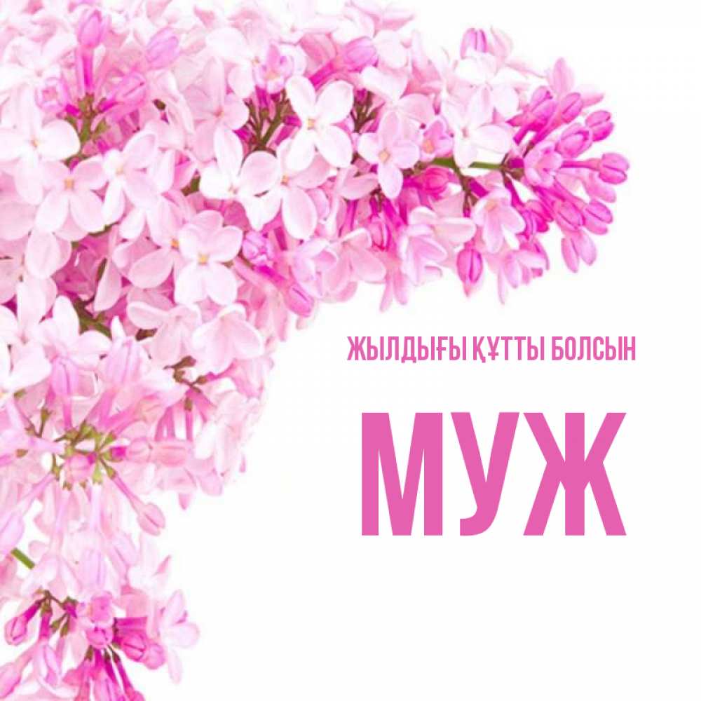 Күн сайын ашық хат с именем, Муж Жылдығы құтты болсын Сирень на белом фоне Онлайн тегін жүктеп алу тілектері бар керемет карта 