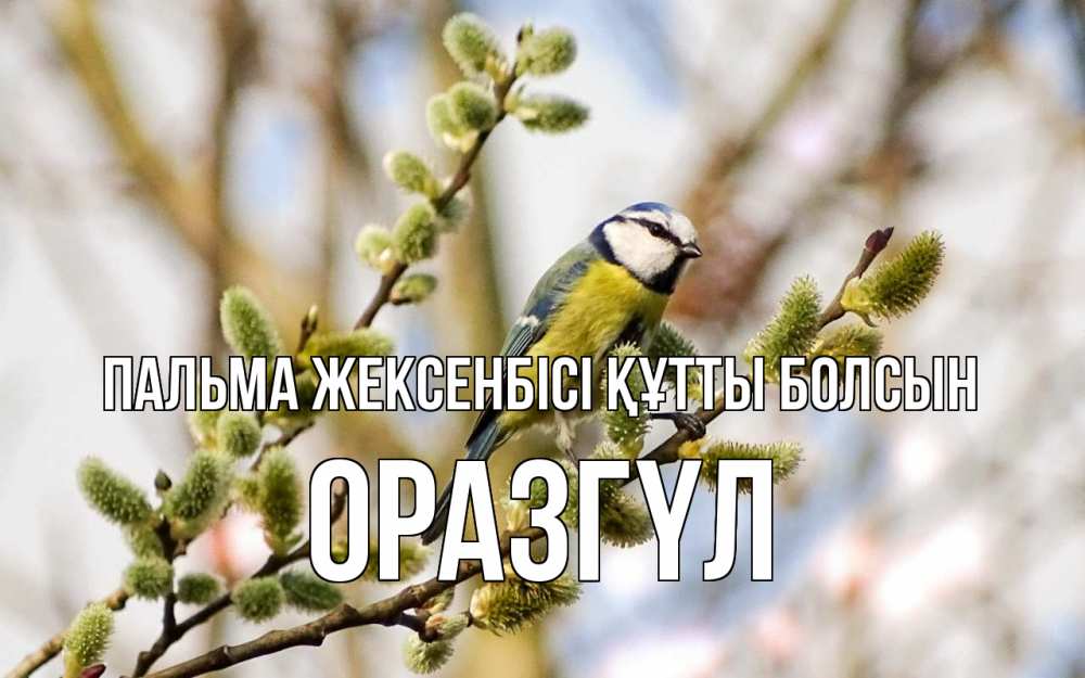 Күн сайын ашық хат с именем, ОРАЗГҮЛ Пальма жексенбісі құтты болсын верба Онлайн тегін жүктеп алу тілектері бар керемет карта 