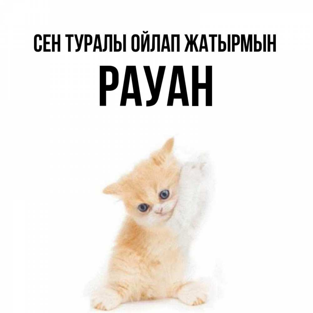 Күн сайын ашық хат с именем, РАУАН Сен туралы ойлап жатырмын зверушки и милота Онлайн тегін жүктеп алу тілектері бар керемет карта 